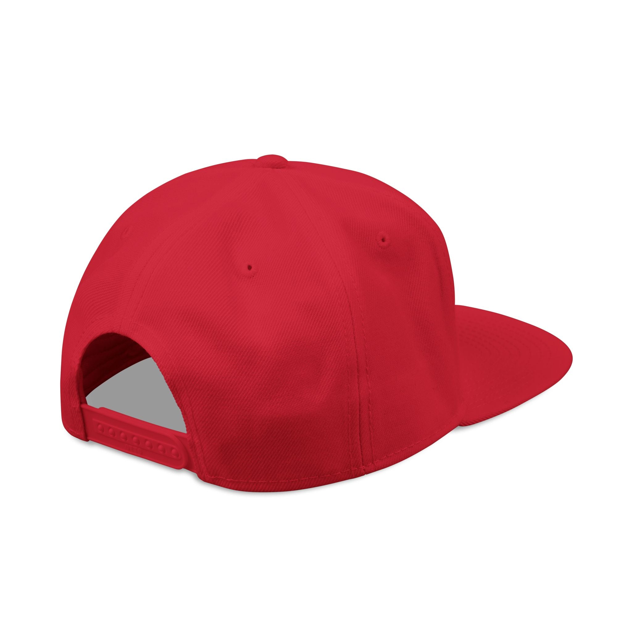LIT🔥 — Living In The Fire - Flame Snapback Hat