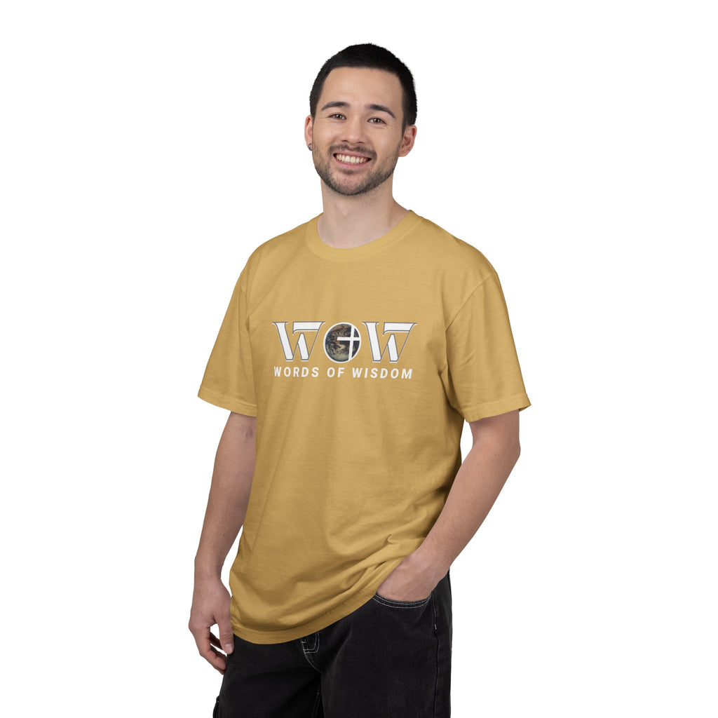 The Most Expensive Thing You Own T-Shirt – WoW Words of Wisdom