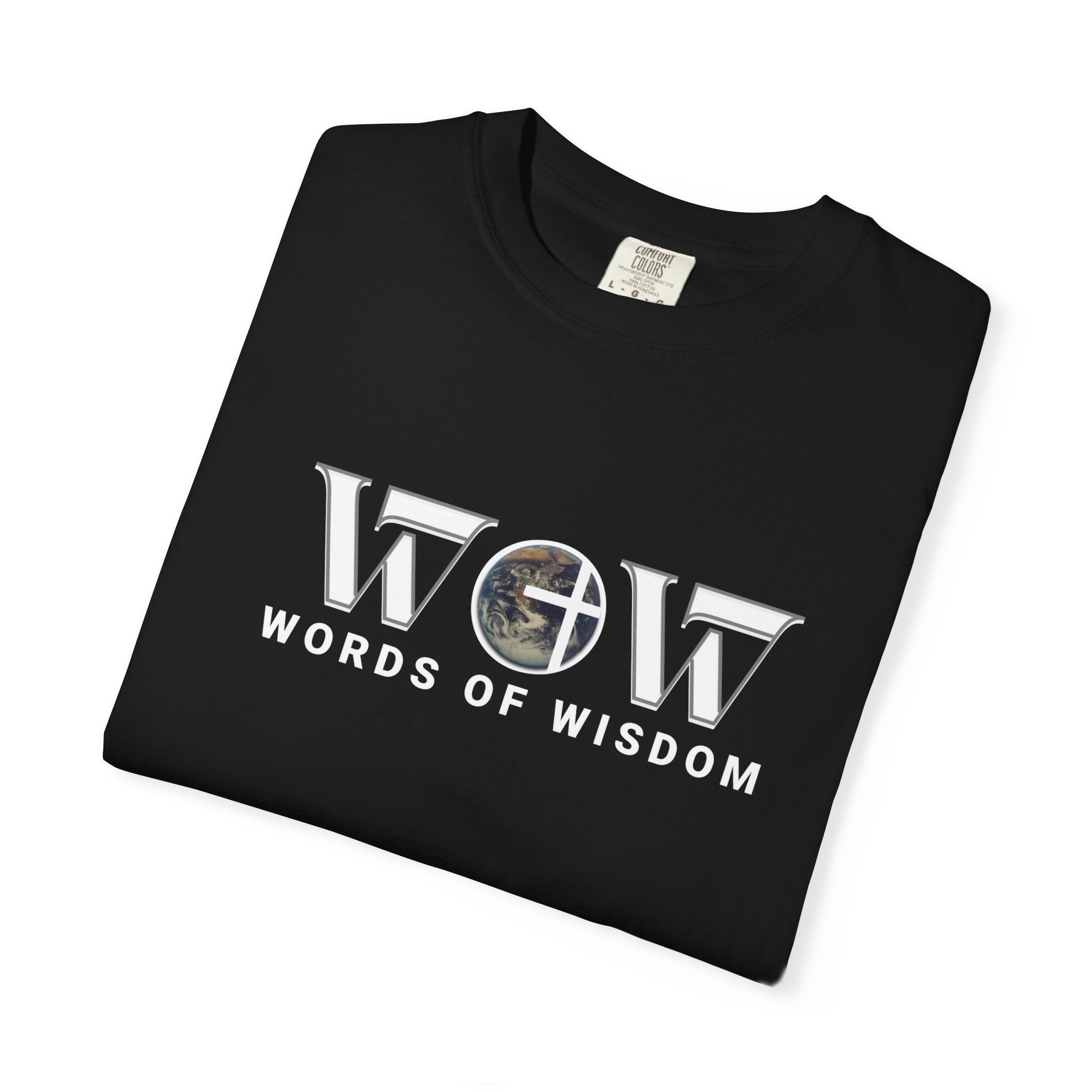 The Most Expensive Thing You Own T-Shirt – WoW Words of Wisdom