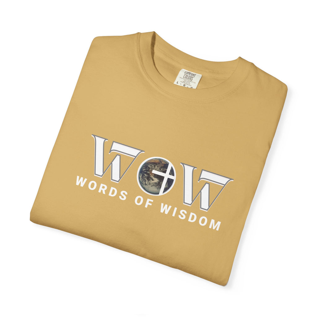 The Most Expensive Thing You Own T-Shirt – WoW Words of Wisdom