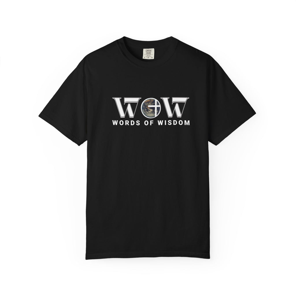 The Most Expensive Thing You Own T-Shirt – WoW Words of Wisdom