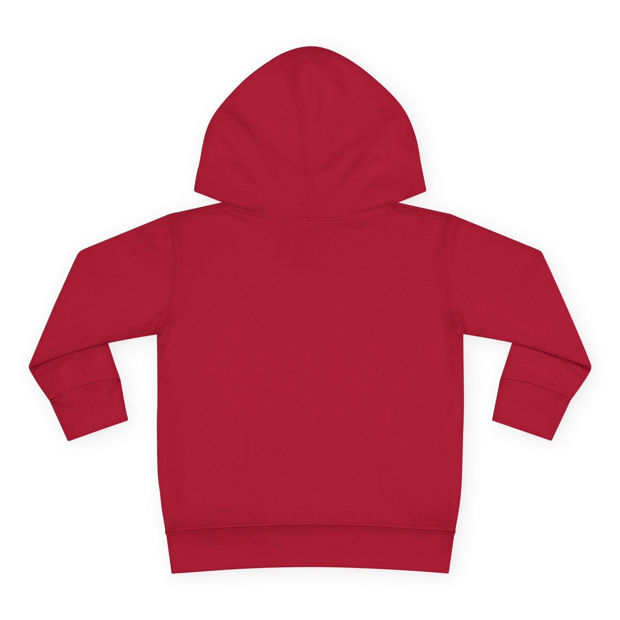 Toddler Hoodie — "God's Future Leader" Angel Warrior Pullover