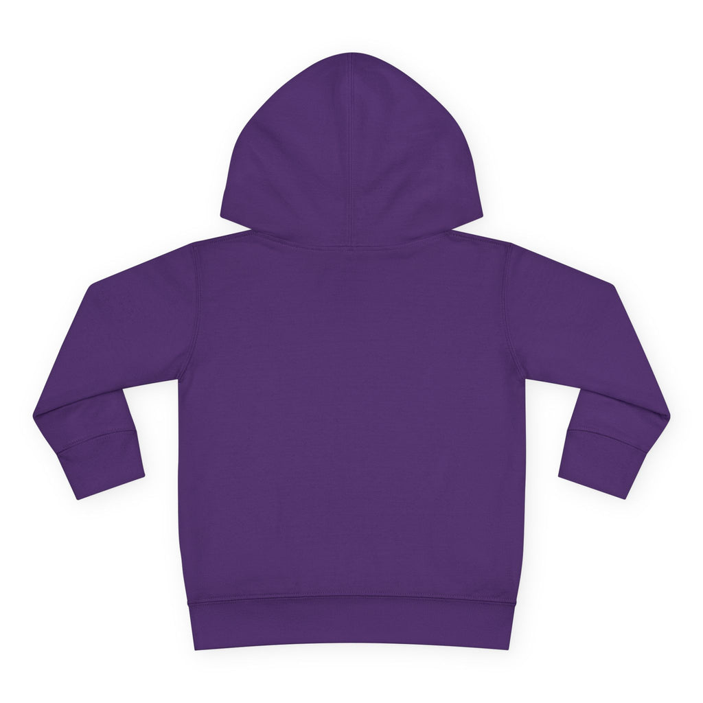 Toddler Hoodie — "God's Future Leader" Angel Warrior Pullover