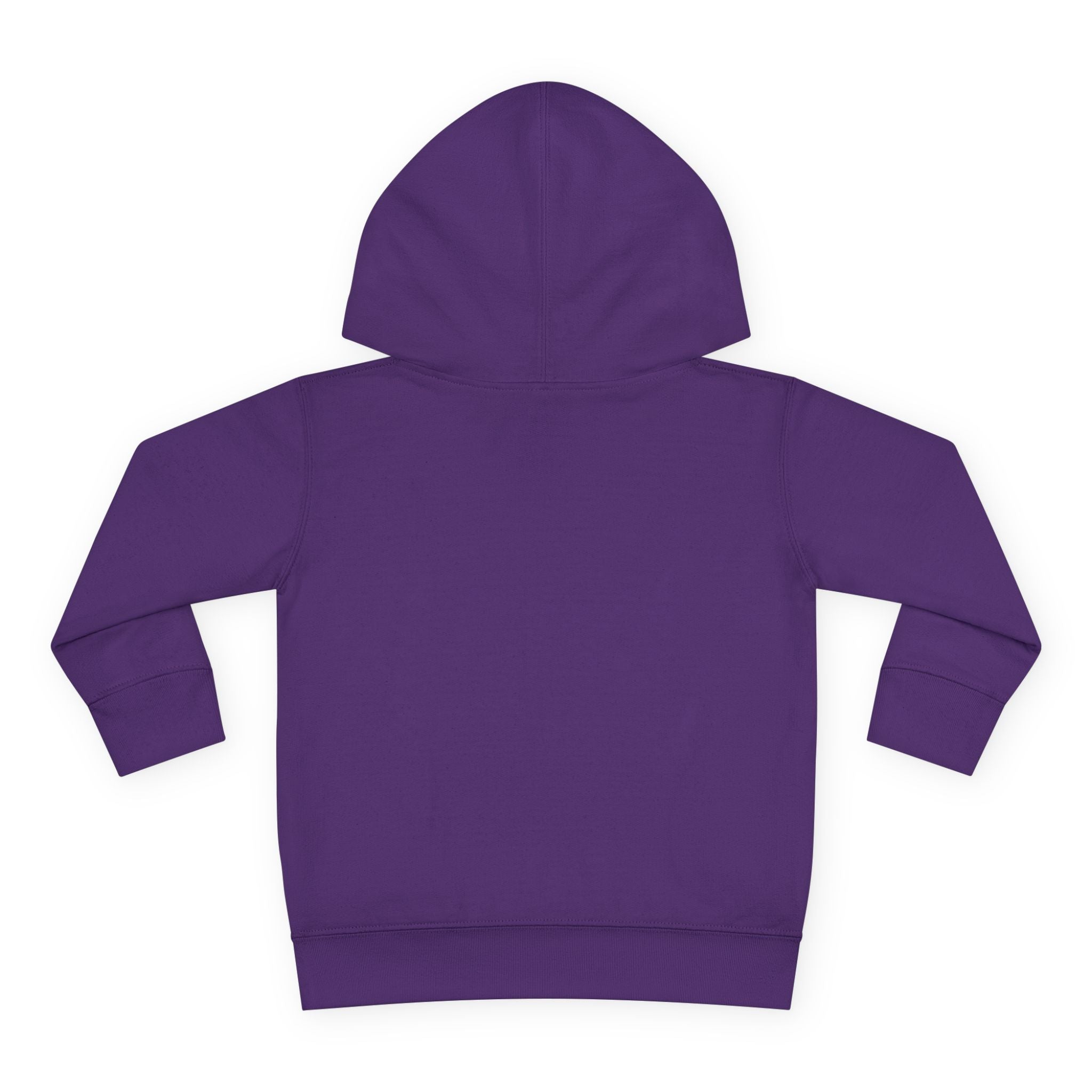 Toddler Hoodie — "God's Future Leader" Angel Warrior Pullover