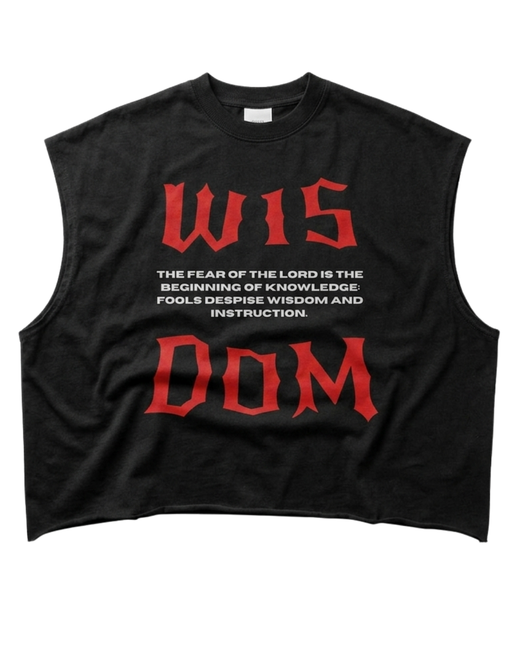 Proverbs 1:7 Boxy Tank Top