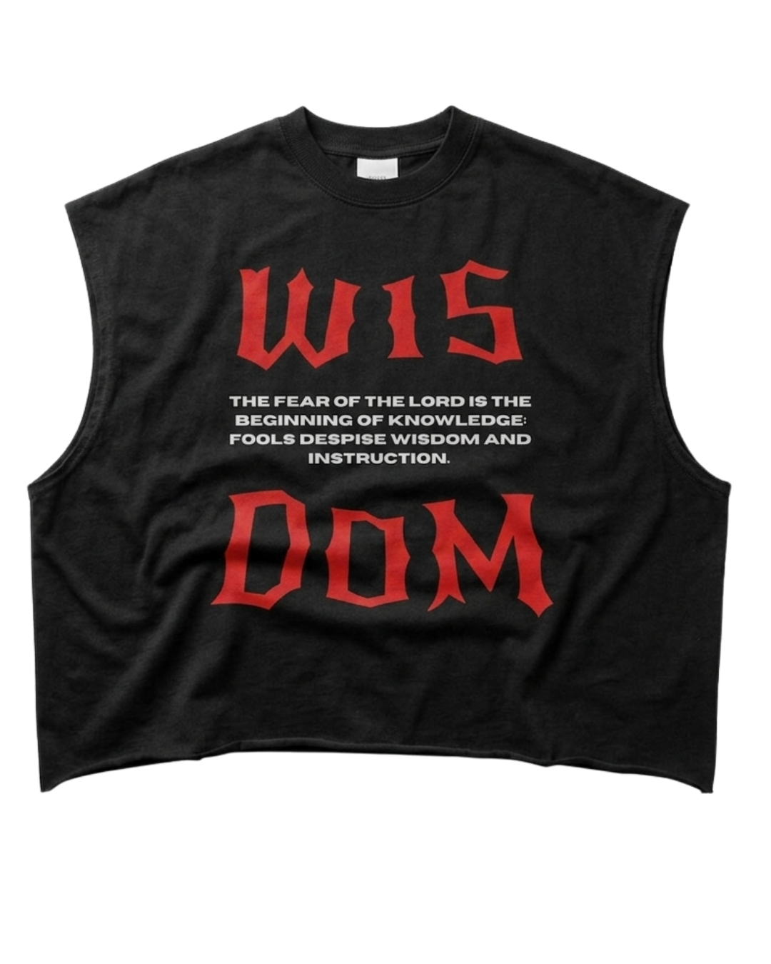 Proverbs 1:7 Boxy Tank Top