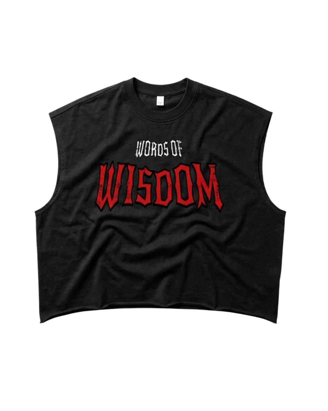 Proverbs 1:7 Boxy Tank Top