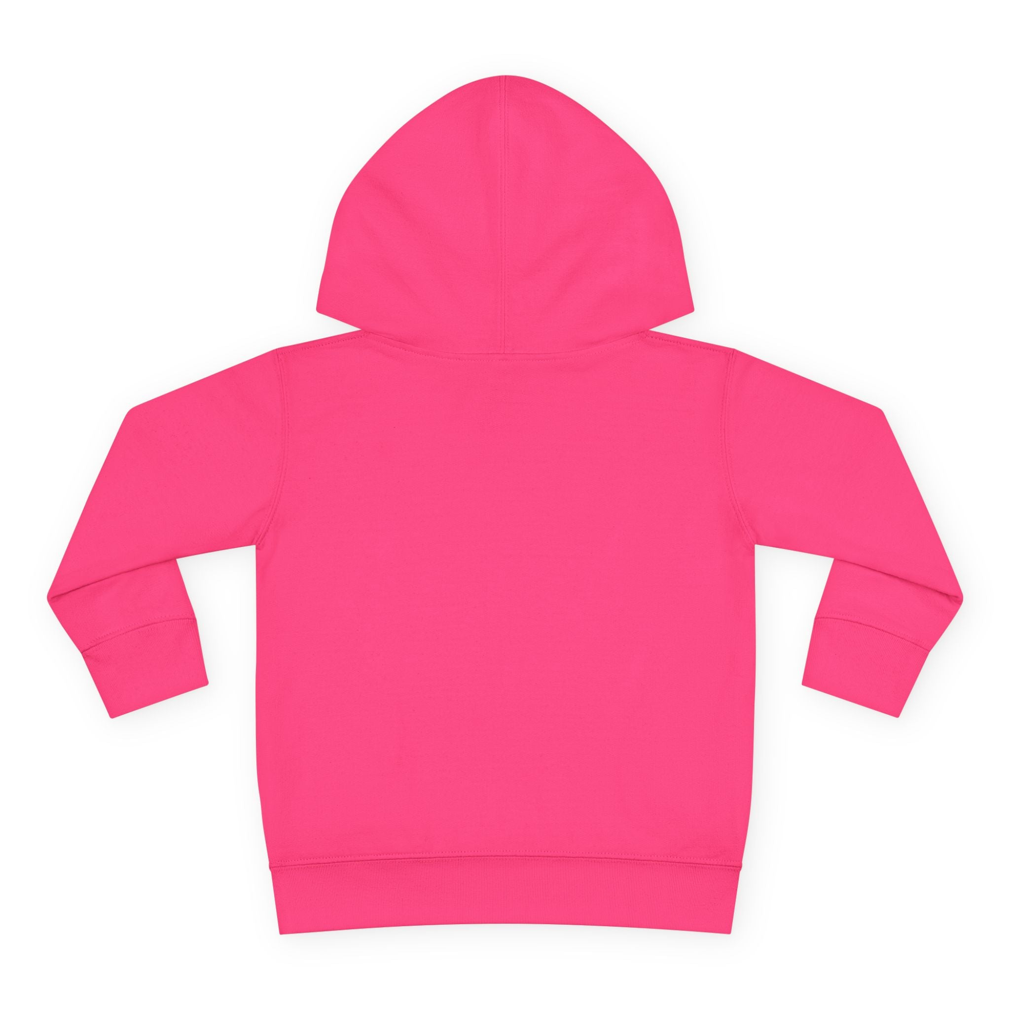 Toddler Hoodie — "God's Future Leader" Angel Warrior Pullover