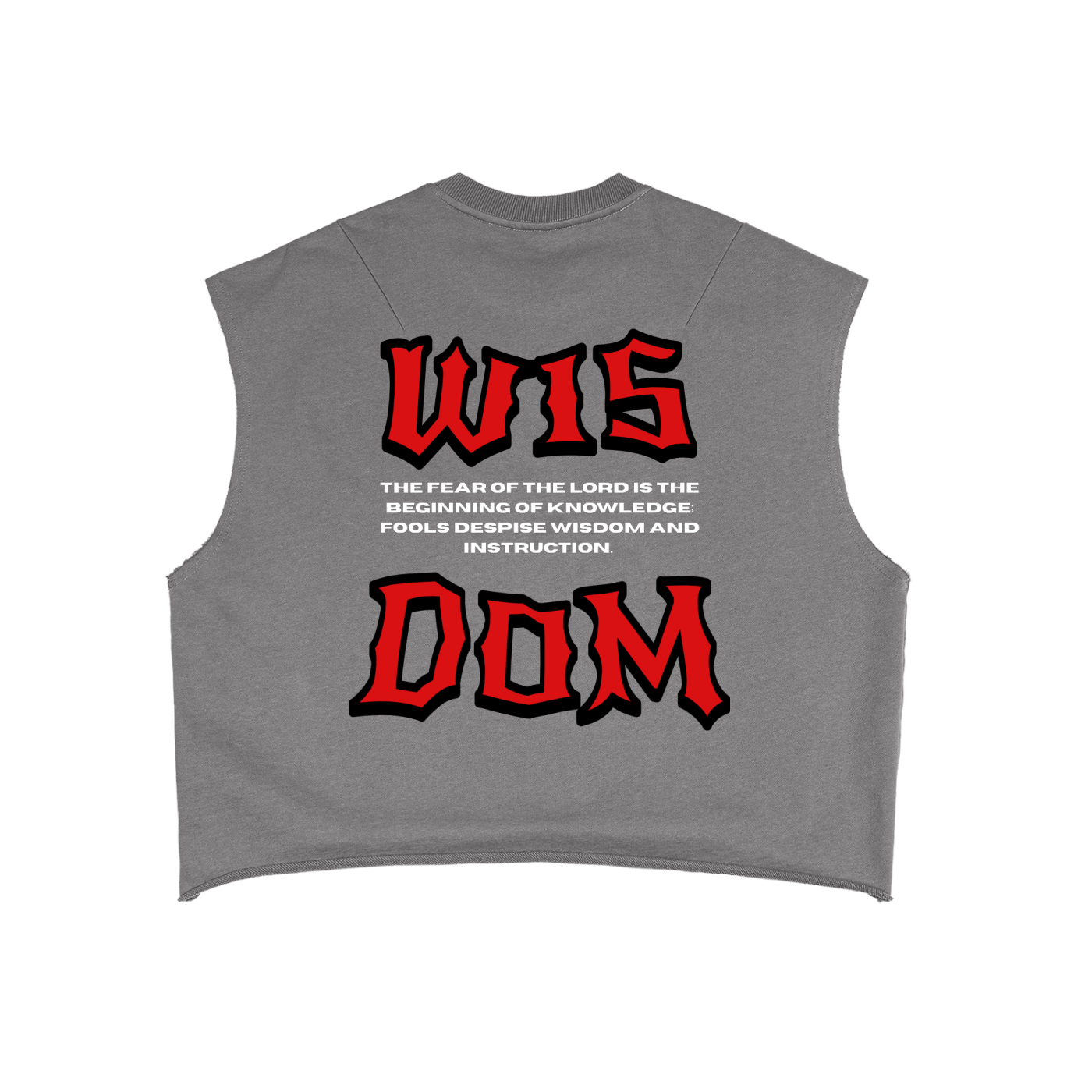 Proverbs 1:7 Boxy Tank Top