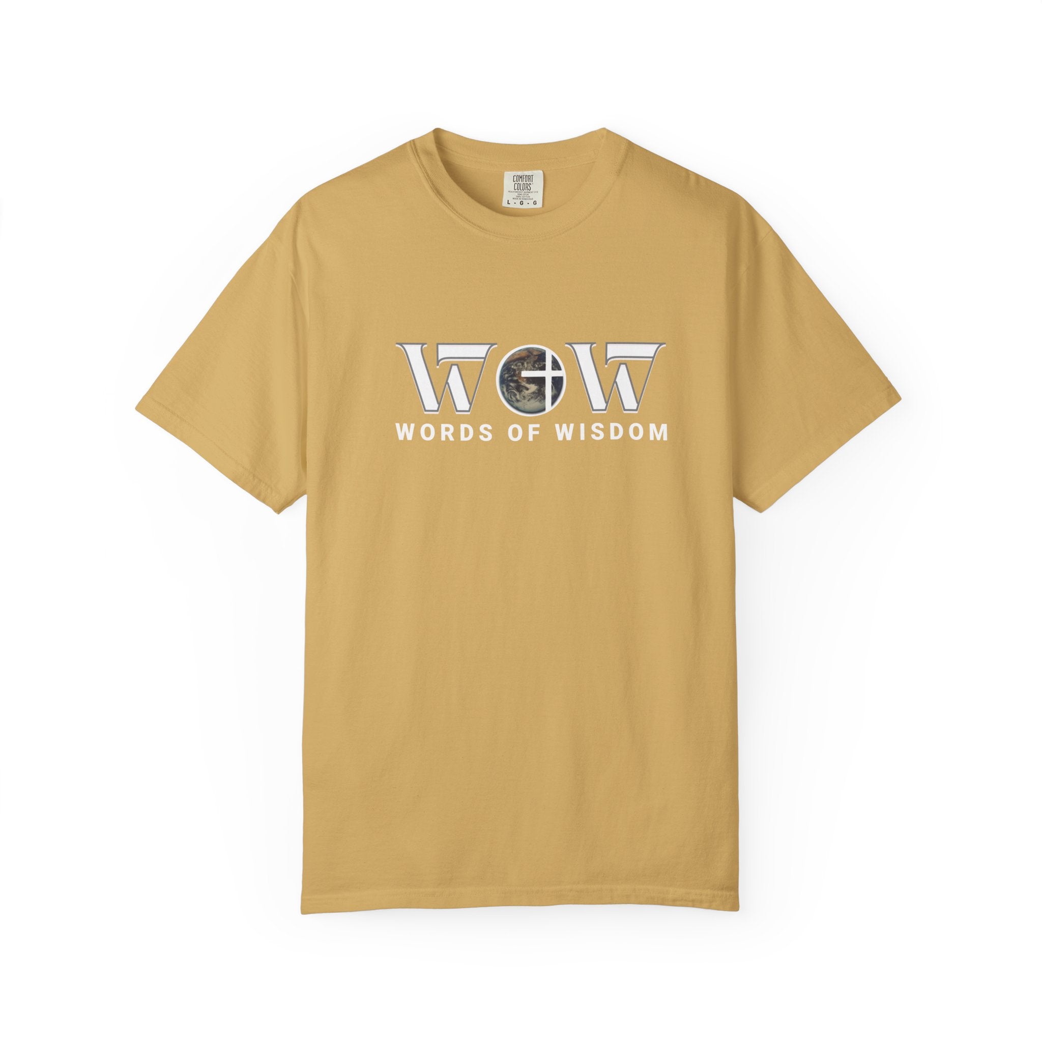 The Most Expensive Thing You Own T-Shirt – WoW Words of Wisdom