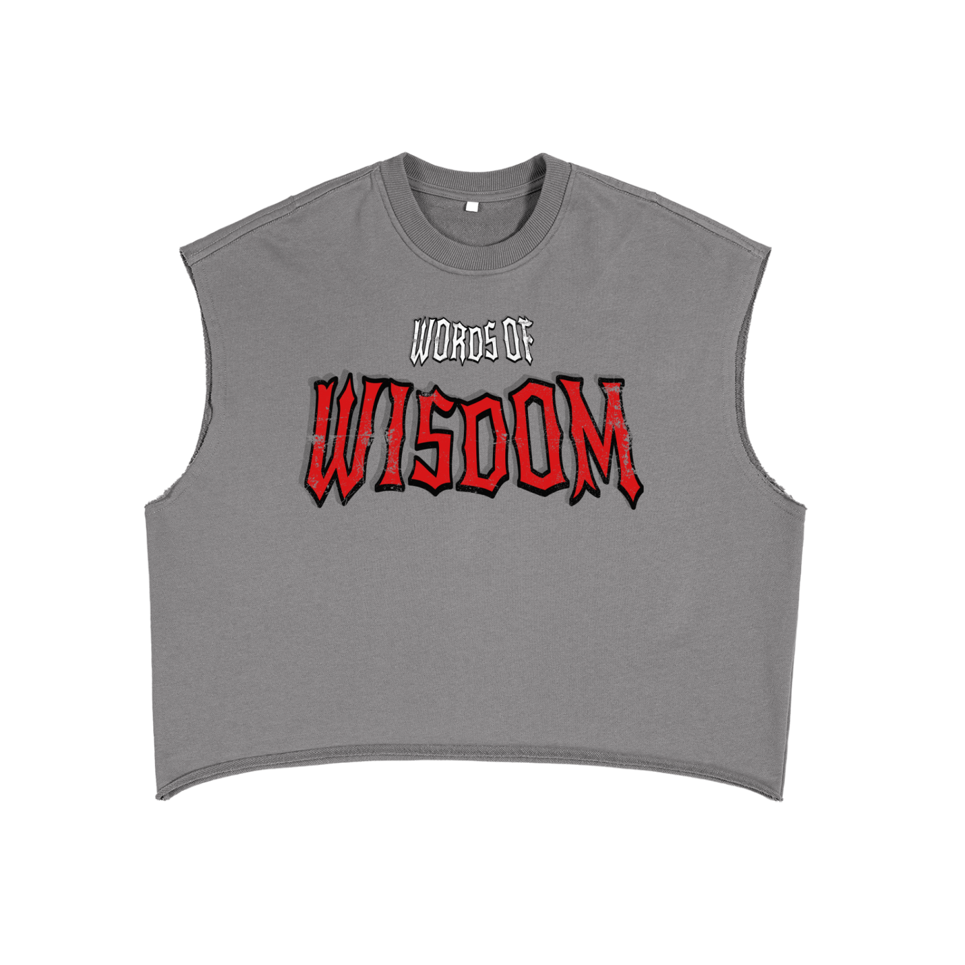 Proverbs 1:7 Boxy Tank Top