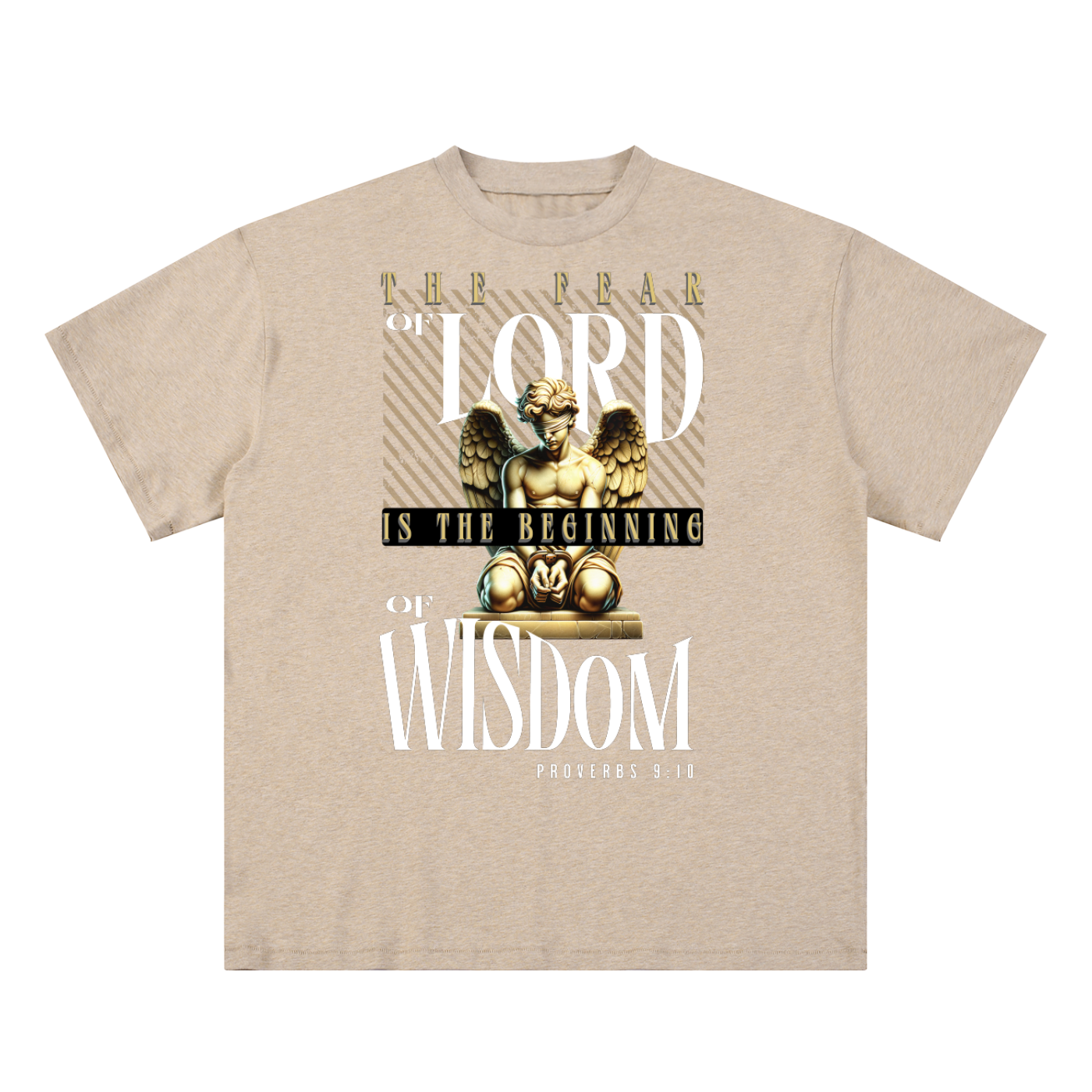 THE FEAR OF THE LORD IS THE BEGAING OF WISDOM T-Shirt