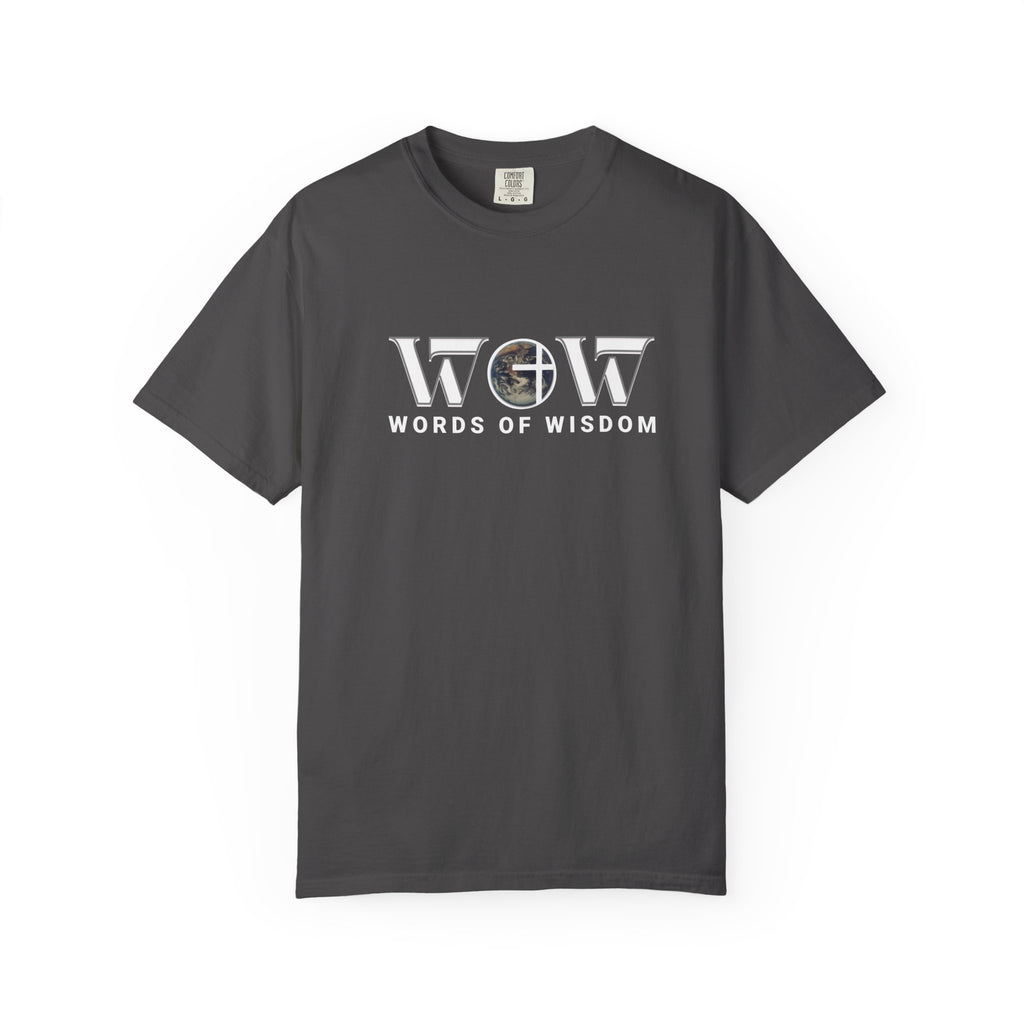 The Most Expensive Thing You Own T-Shirt – WoW Words of Wisdom