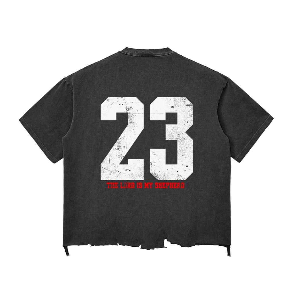 Psalms 23 Snow Wash distressed T-shirt