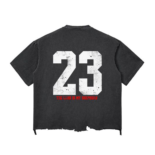 Psalms 23 Snow Wash distressed T-shirt