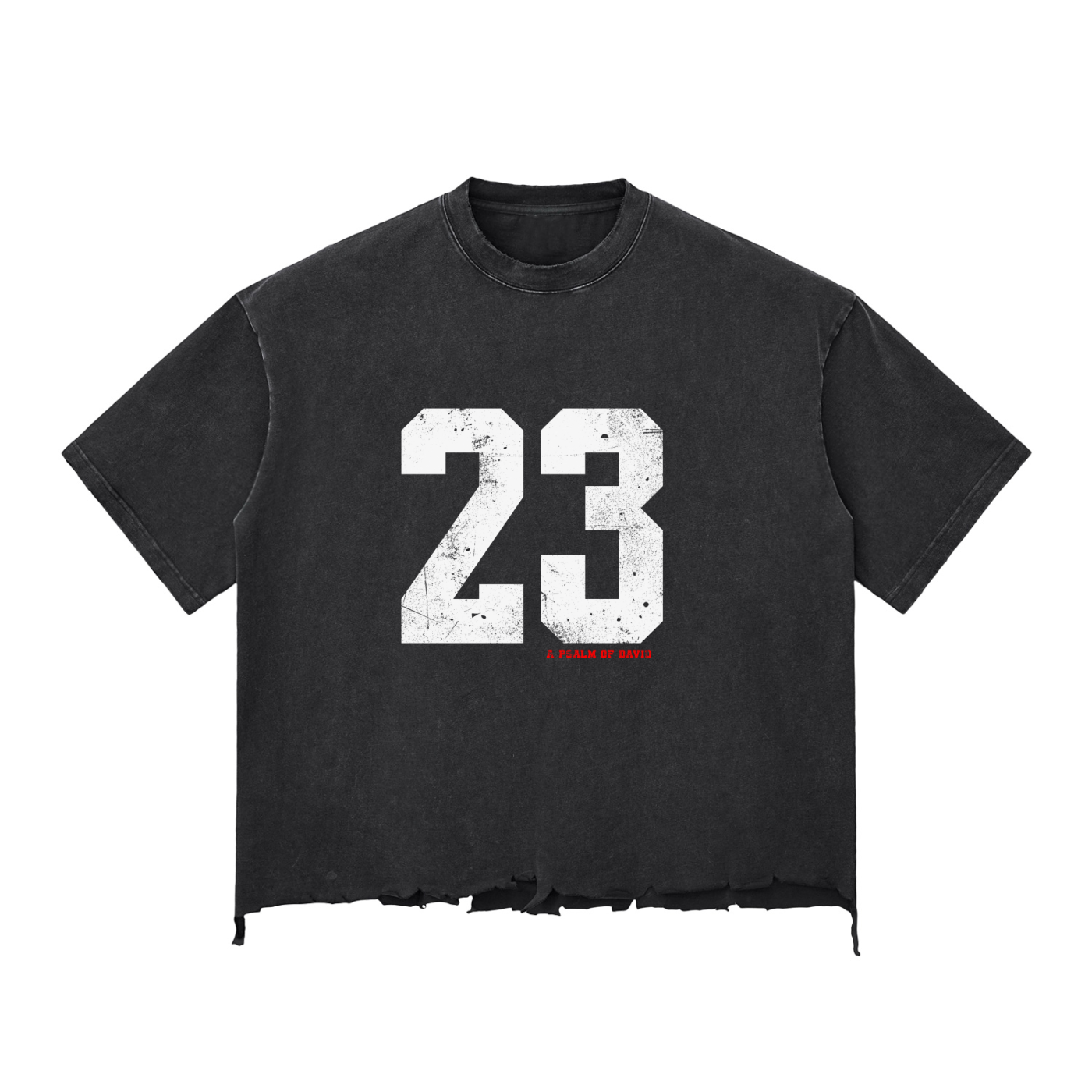 Psalms 23 Snow Wash distressed T-shirt