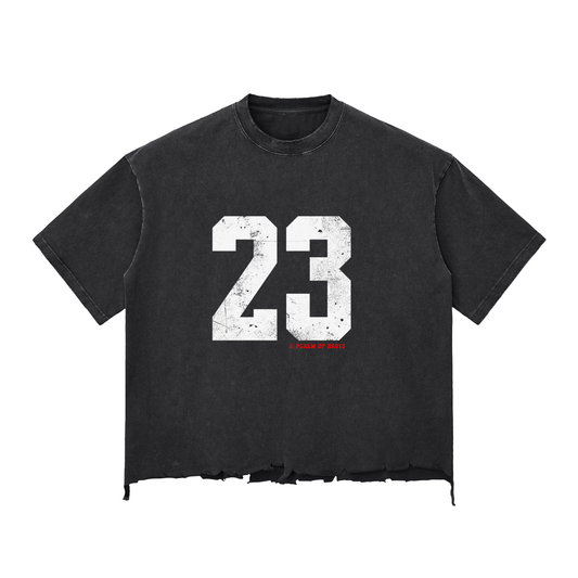 Psalms 23 Snow Wash distressed T-shirt