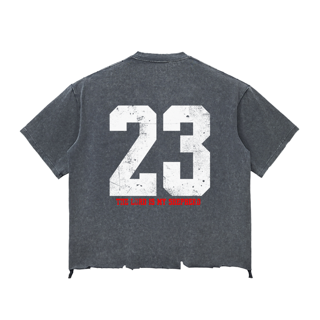 Psalms 23 Snow Wash distressed T-shirt