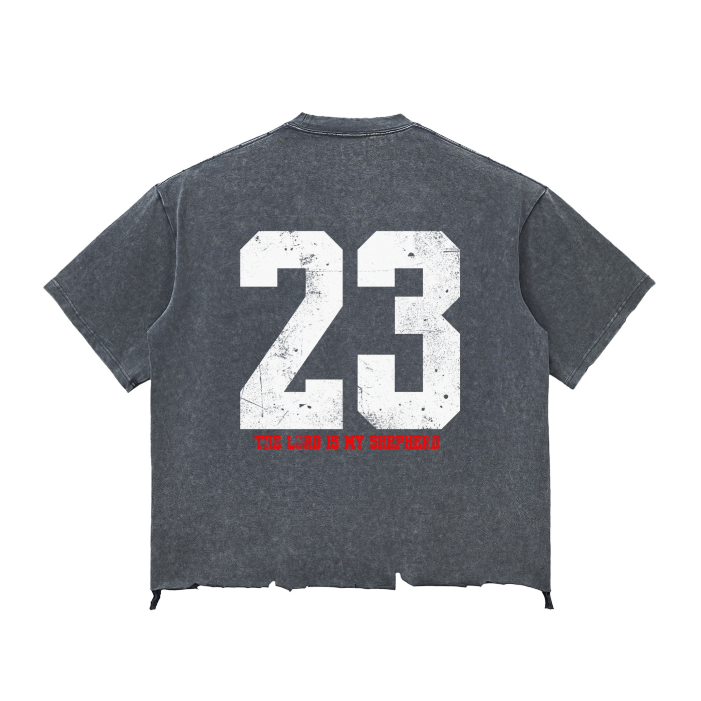 Psalms 23 Snow Wash distressed T-shirt