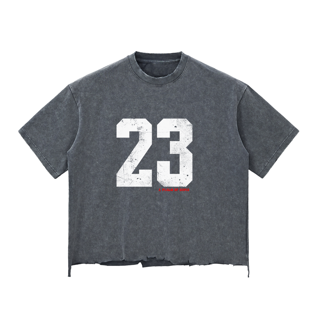 Psalms 23 Snow Wash distressed T-shirt